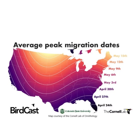 Kaytee In Shell Peanuts 5lbs - Picture 4 of 6